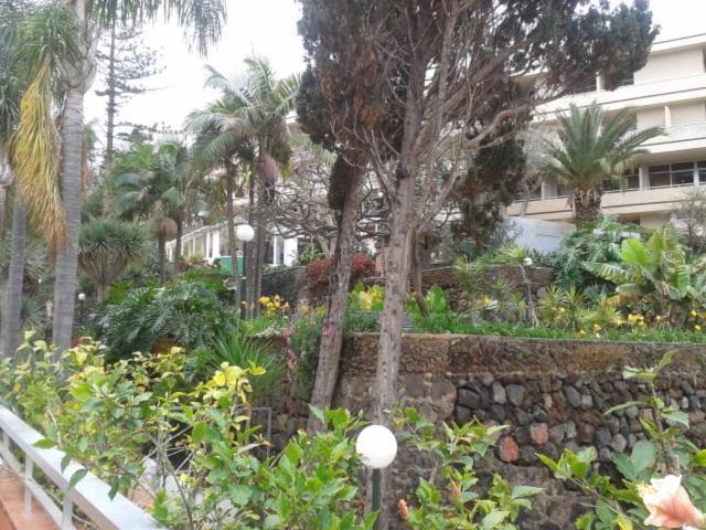 Tranquilo Apartamento Puerto De La Cruz المظهر الخارجي الصورة