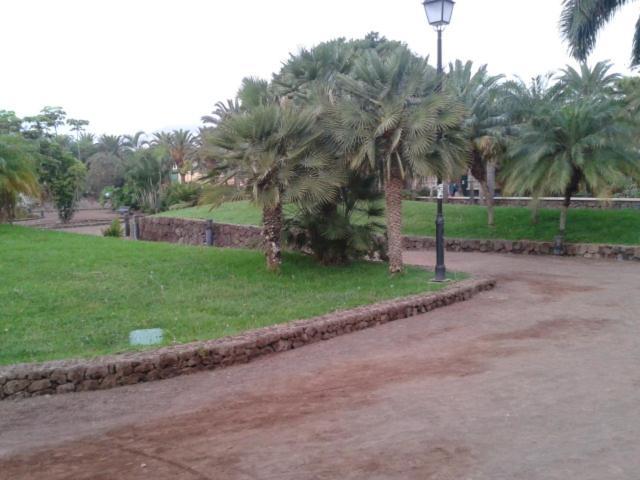 Tranquilo Apartamento Puerto De La Cruz المظهر الخارجي الصورة